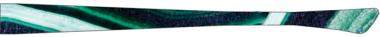 eye:max 5579