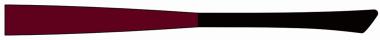 eye:max 5603